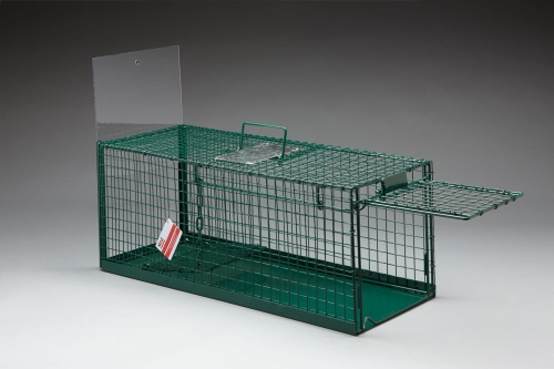 eezicatch-cat-trap-solid-flor 339.jpg