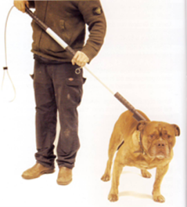 Chwytak na silne i agresywne psy 152 cm - do 350 KG